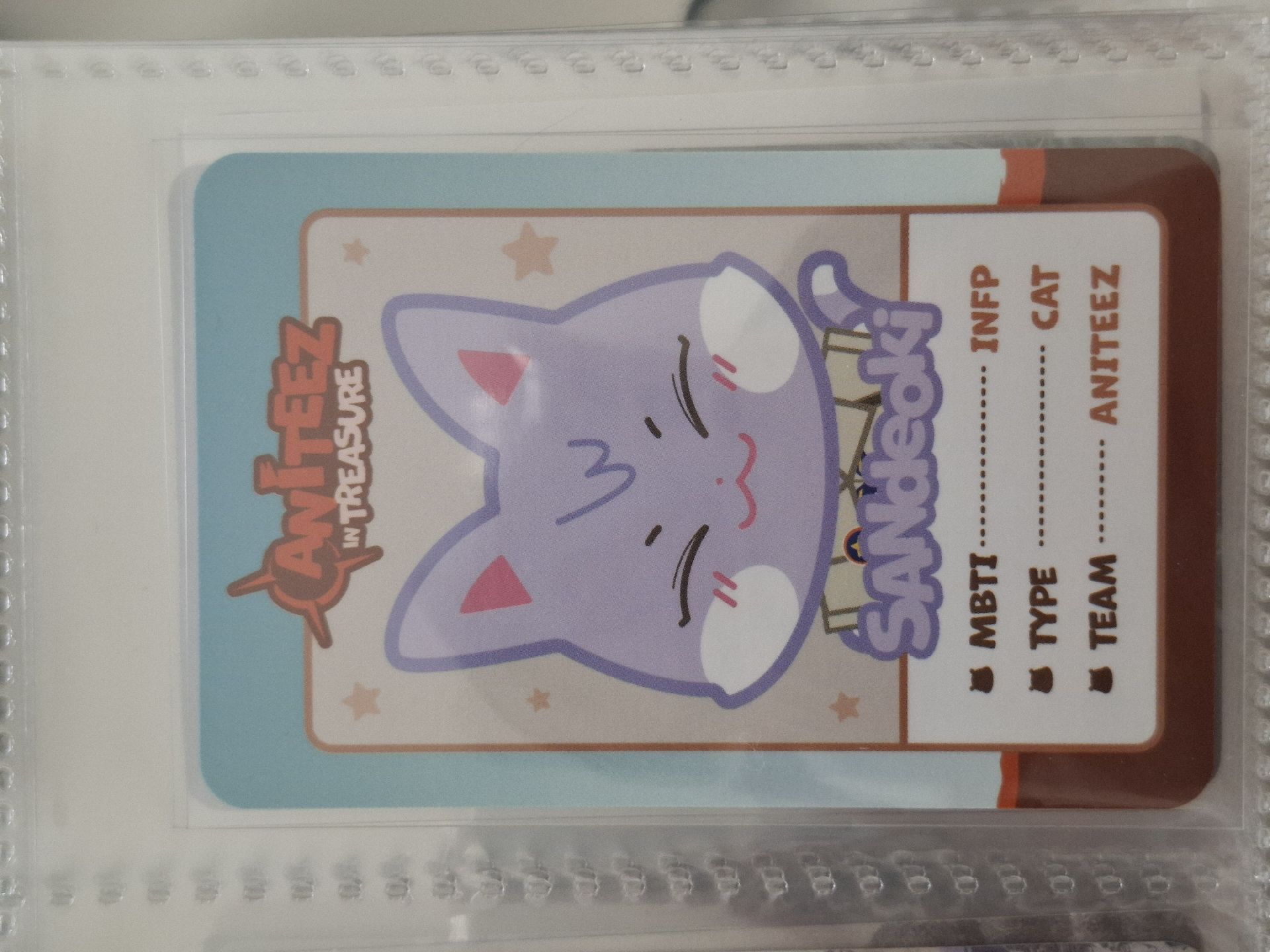 寶藏小動物小卡