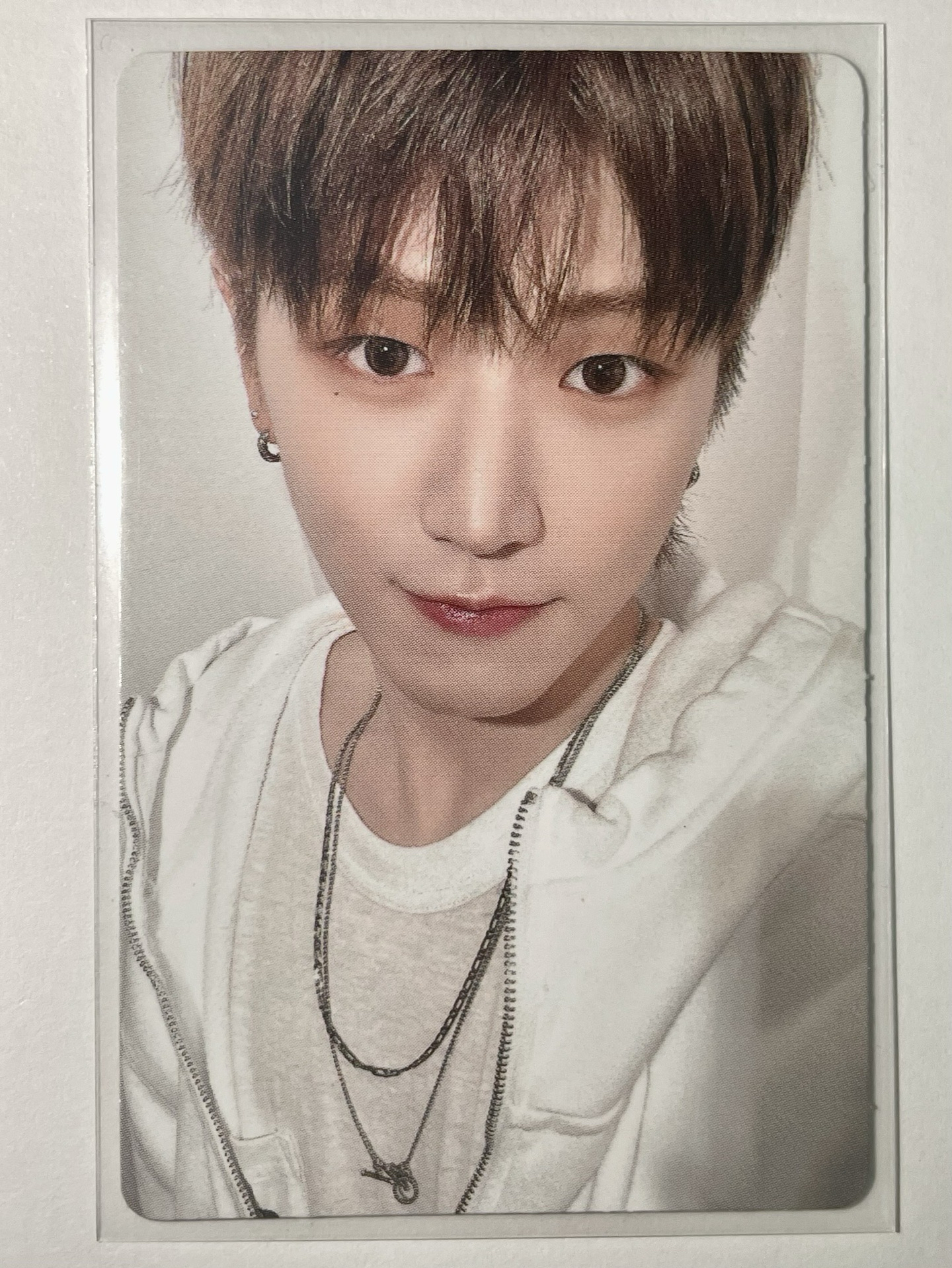 🐹（19.99專卡）