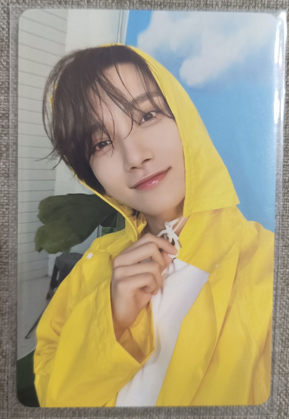 迷十一克拉盤小卡