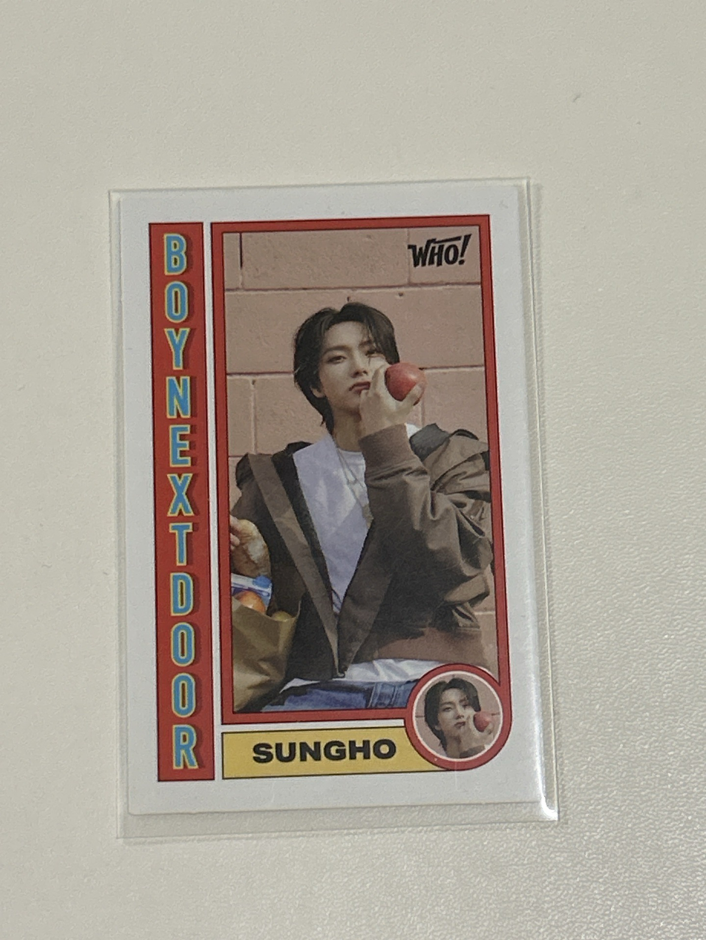 WHO! 電子專 介紹卡 朴成淏 