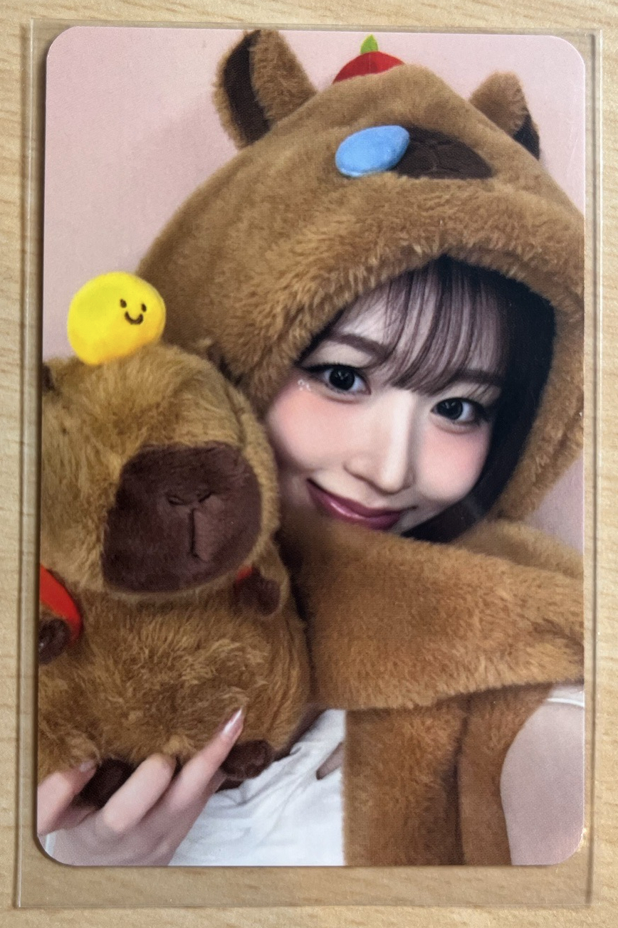 FORWARD ms 9.0 卡皮巴拉嫄🐳