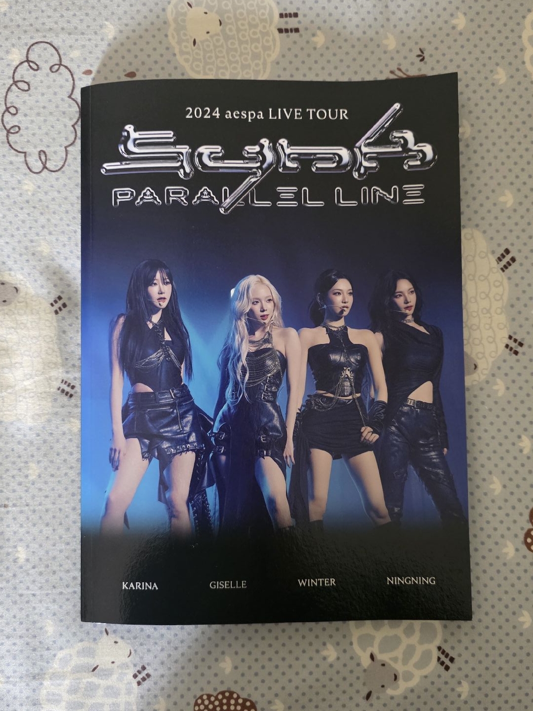 二巡 周邊卡 寫真pb冬 含寫真