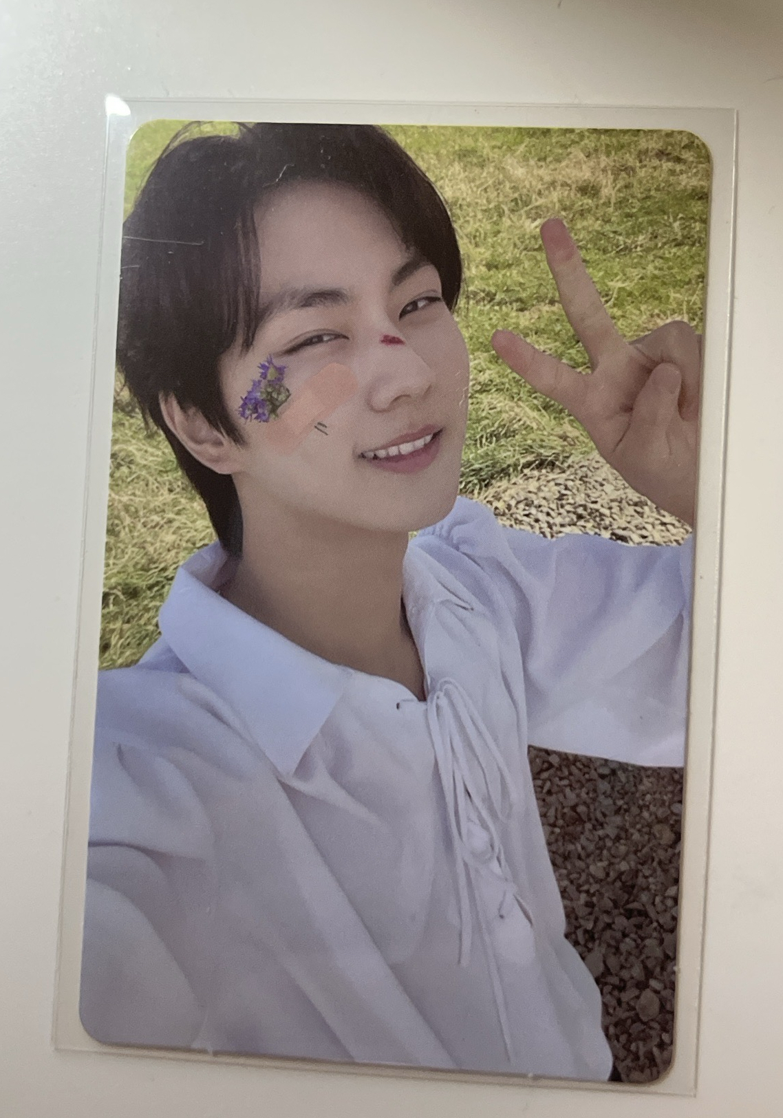 正ㄧ後續 專輯卡 梁禎元