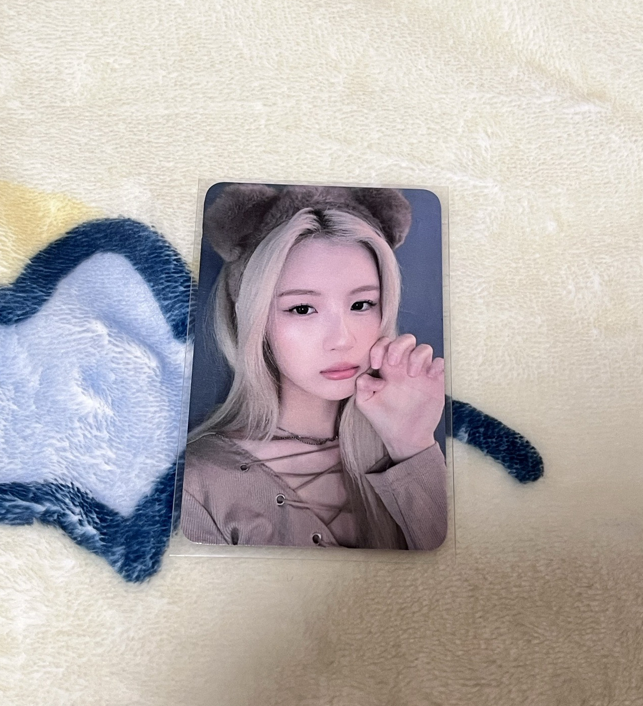 ❤️EL2.0 小熊毓🍊