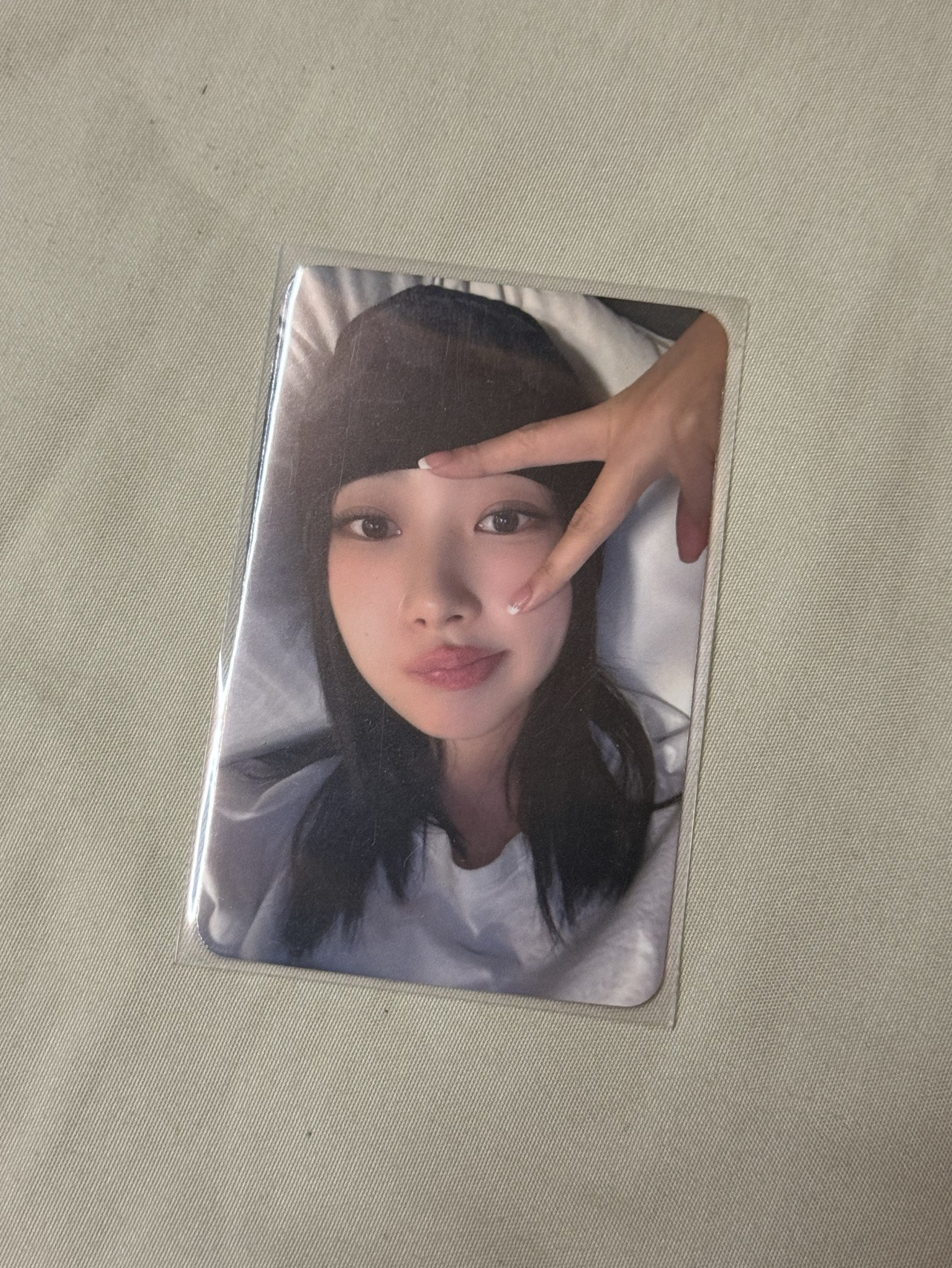 Drama sr 簽售卡 星河簽售2.0吉