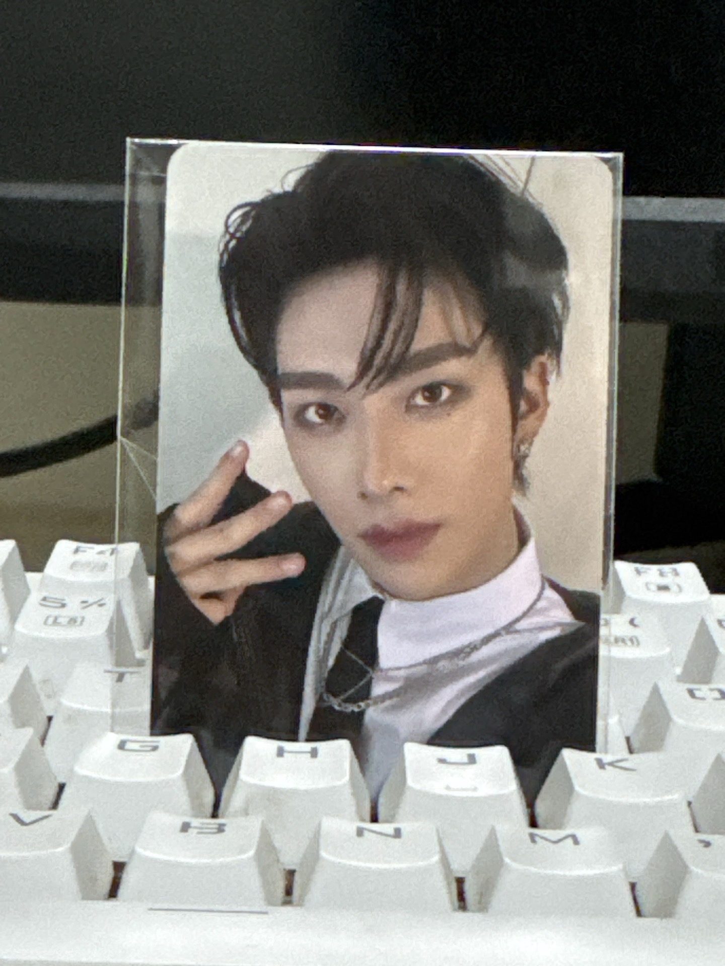 sr 貓鬚姿勢(中卡背)