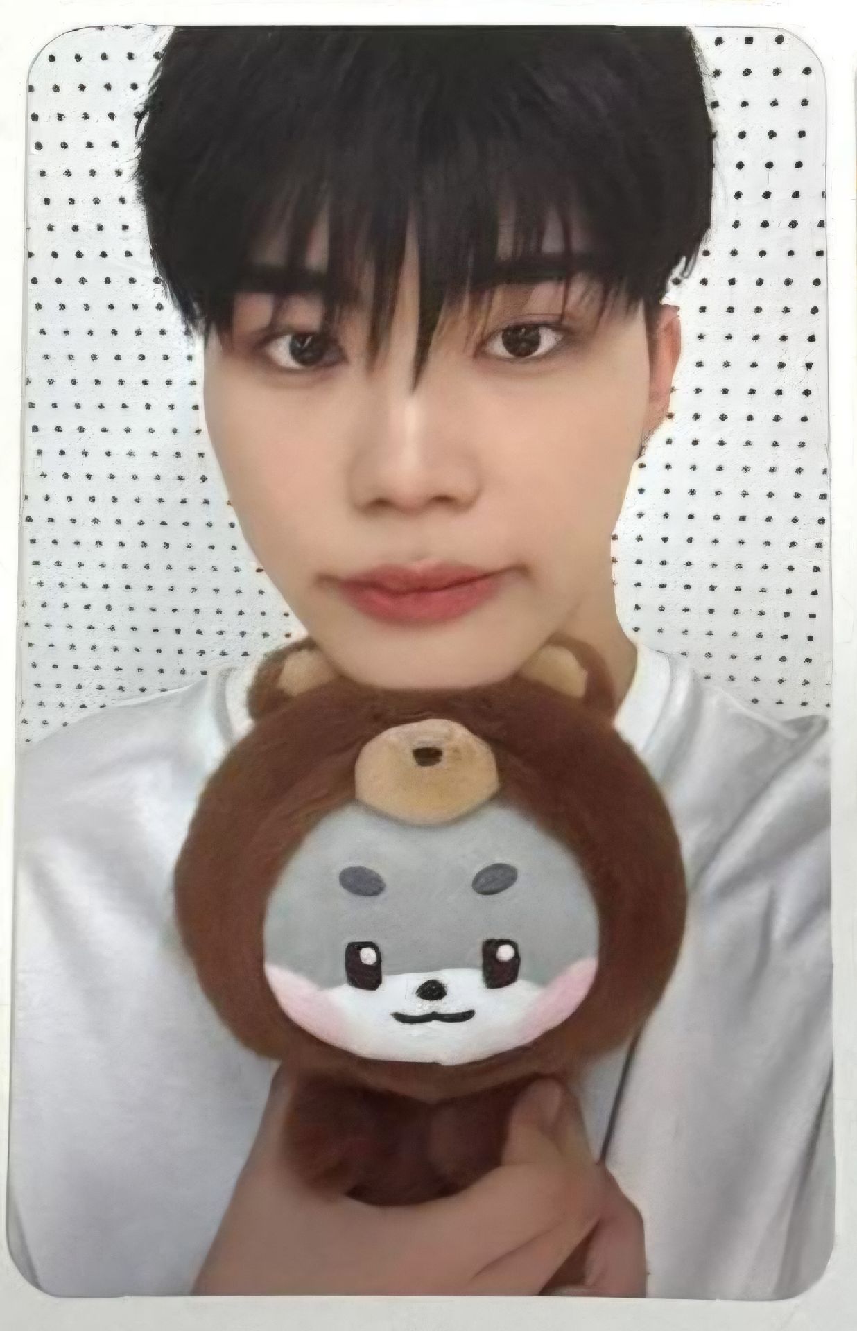 FLUFFY WORLD 滿額 旭