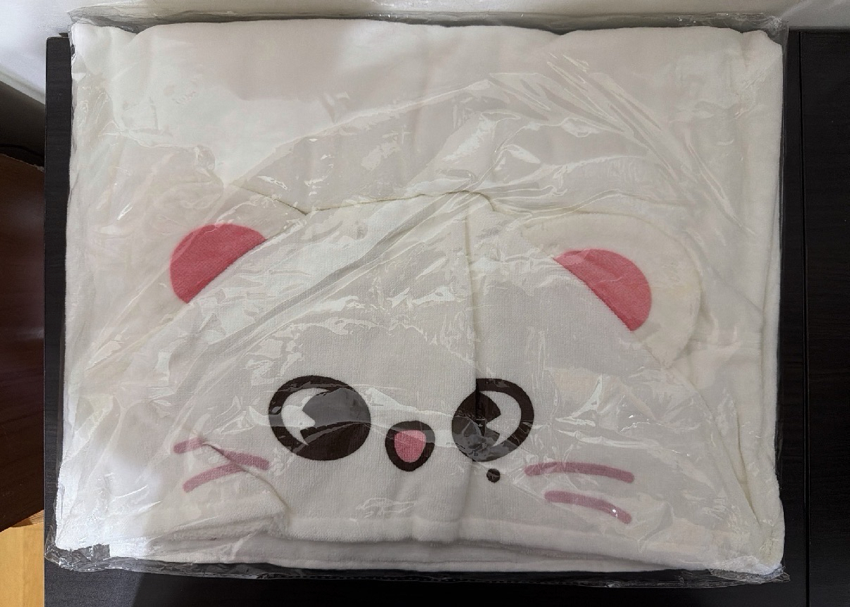 2024 JYP日本快閃店 辰浴巾 