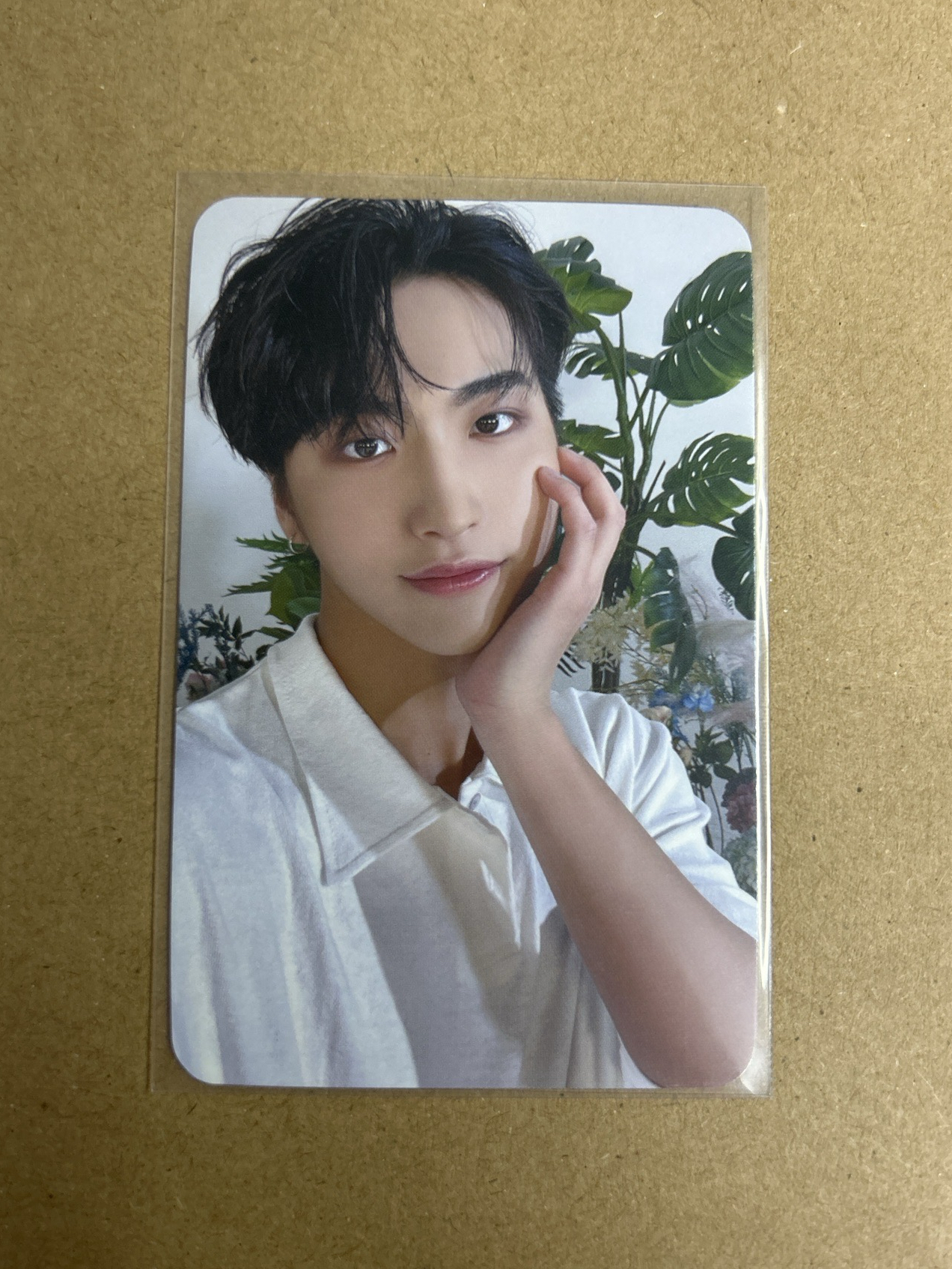 ATEEZ 朴星化 TREASURE再版專 oy 特典卡