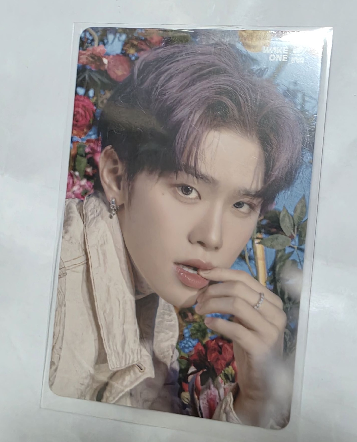 塔店特典  泰來