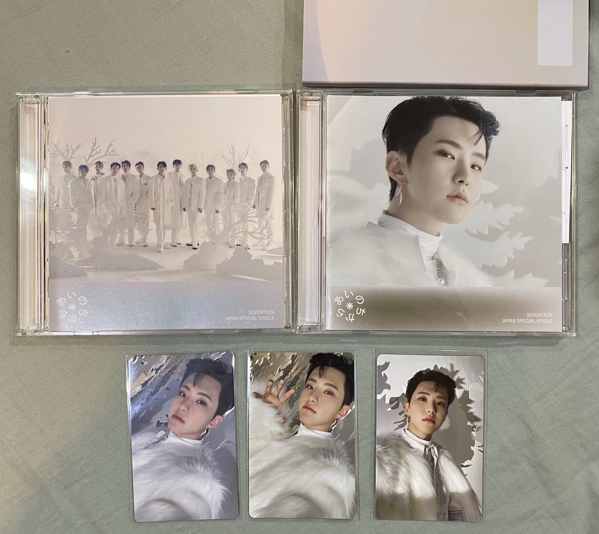 順榮 pol專輯🖤