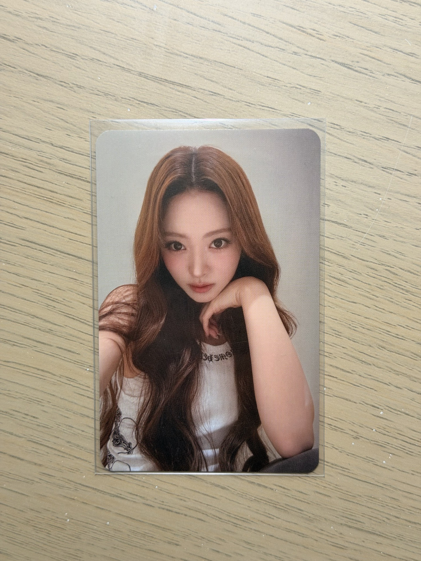 Anna 快閃店特典&迷一專卡們🐱