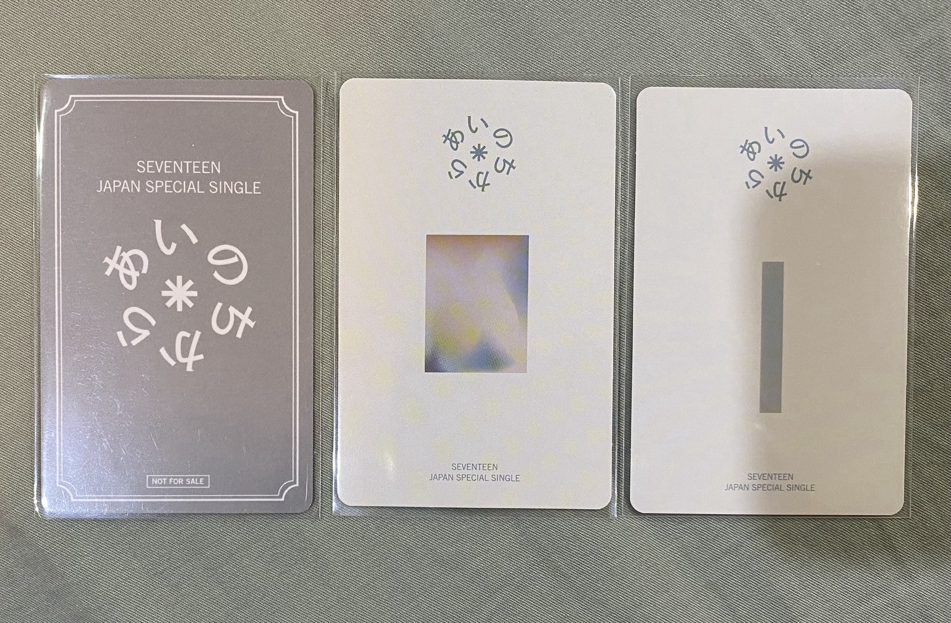 順榮 pol專輯🖤