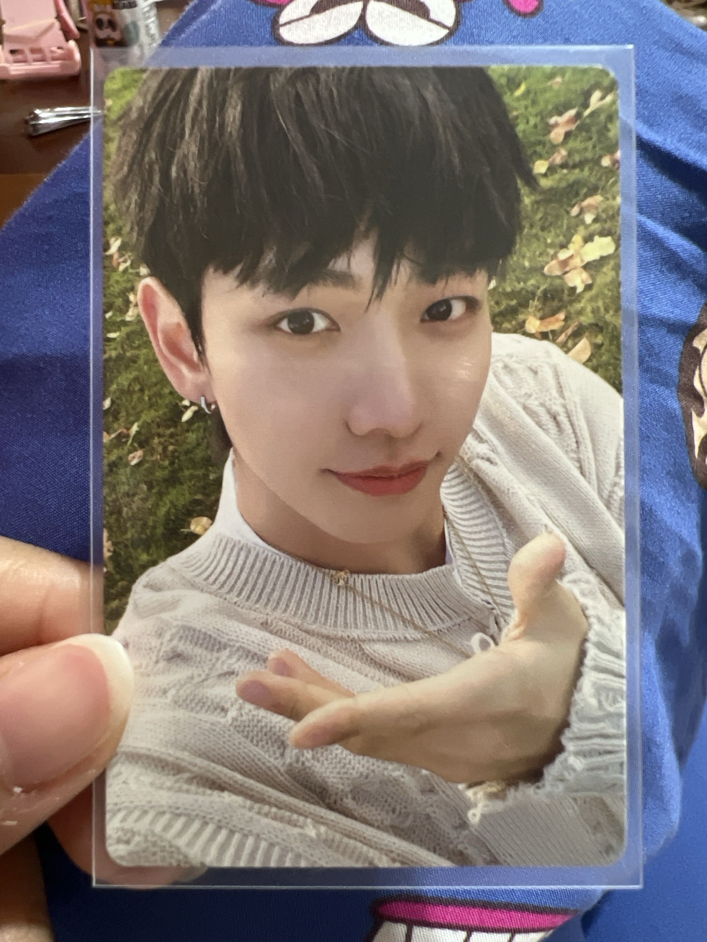 🔹白色毛衣🐶