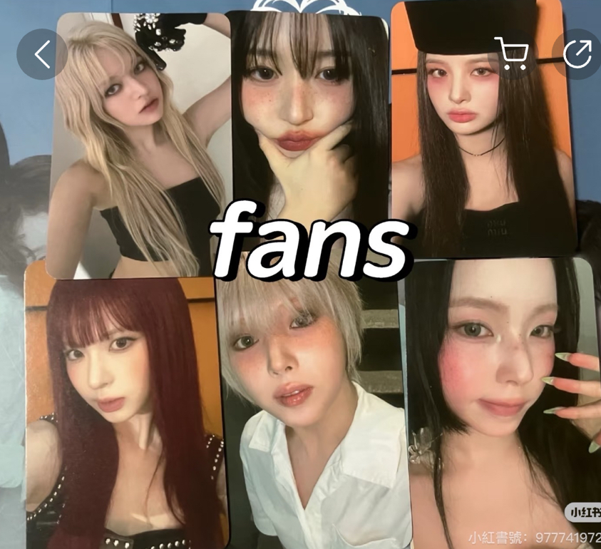 正規一Fans預售 