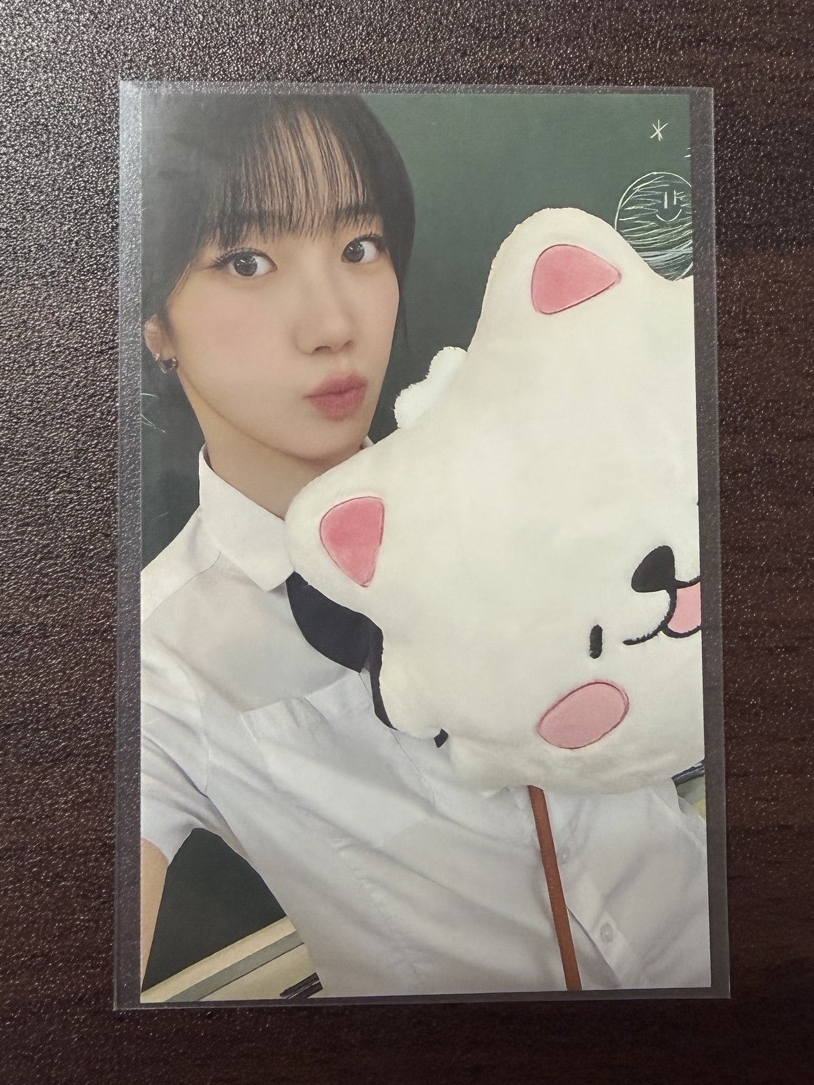 FIM’S CLUB 滿額卡 抱枕葉