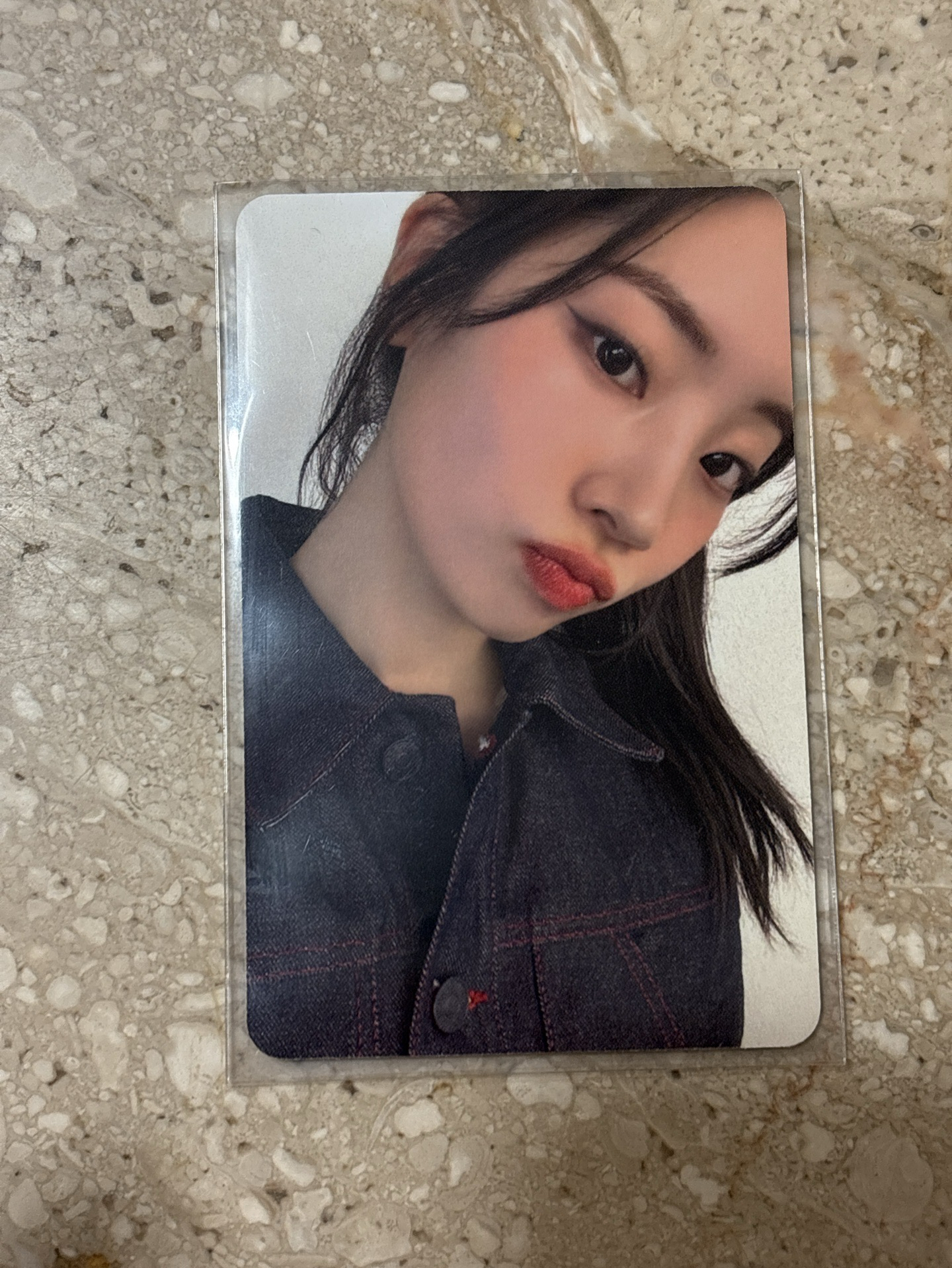 中文卡背 星河 多賢