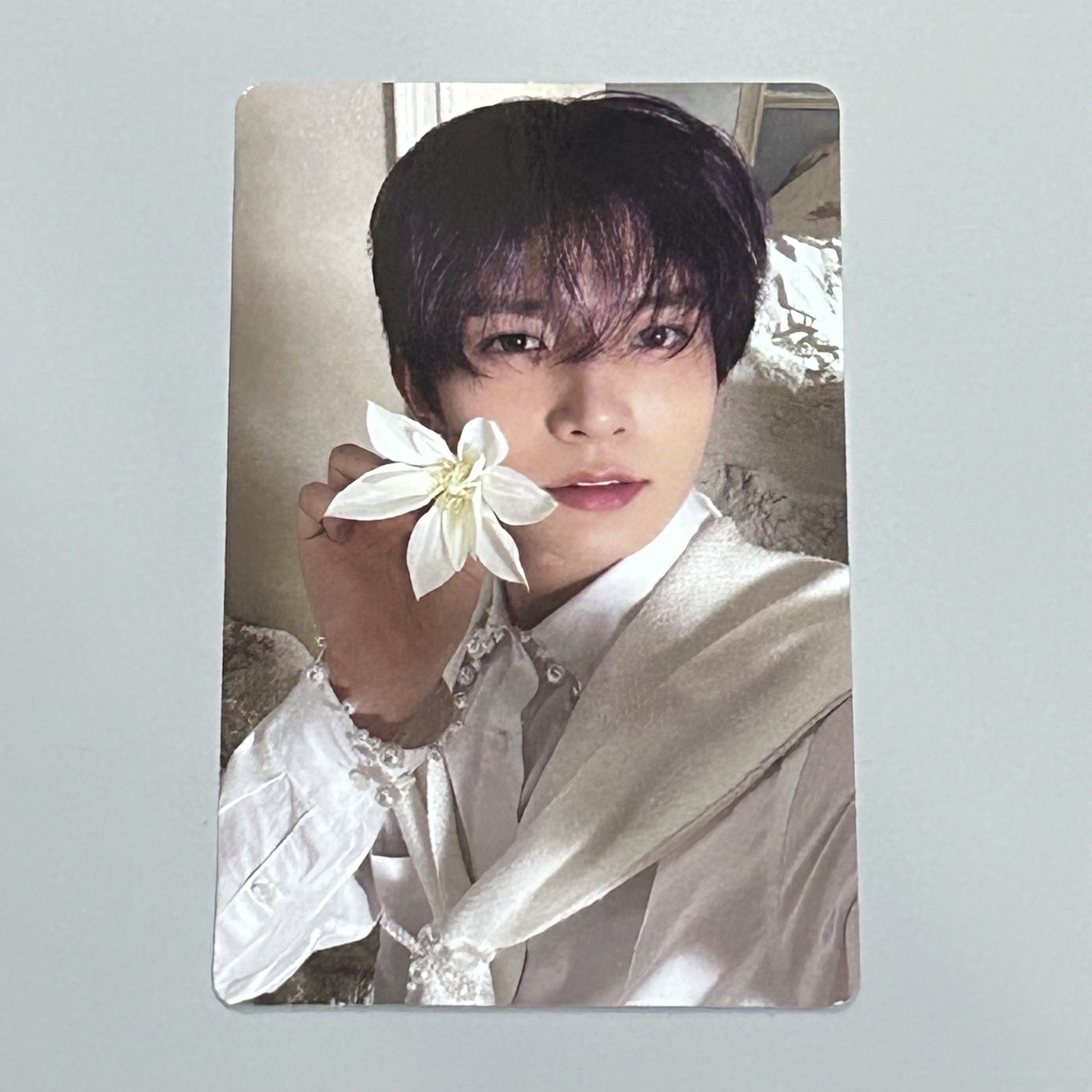 Enhypen 李羲承 迷五專卡