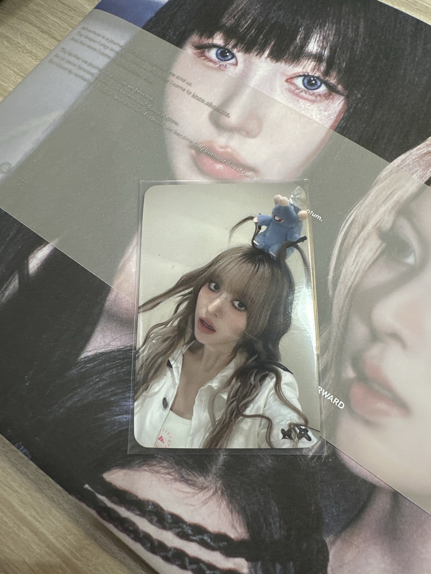 sw 線上 4.0 簽售卡 頭上有什麼 料理鼠王