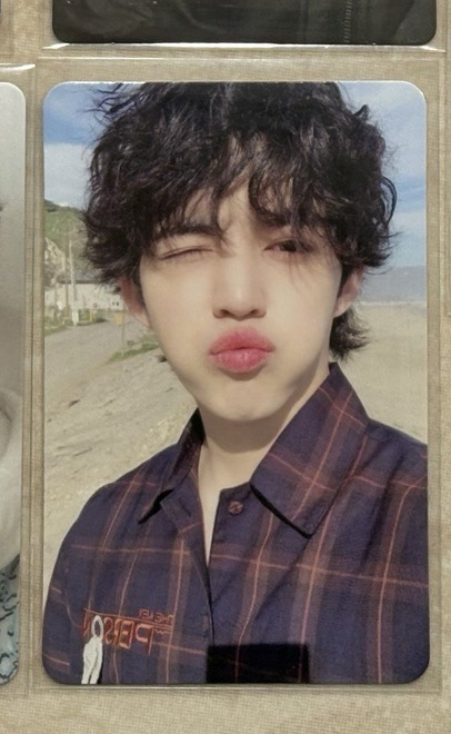 迷7專卡海邊卷毛哲