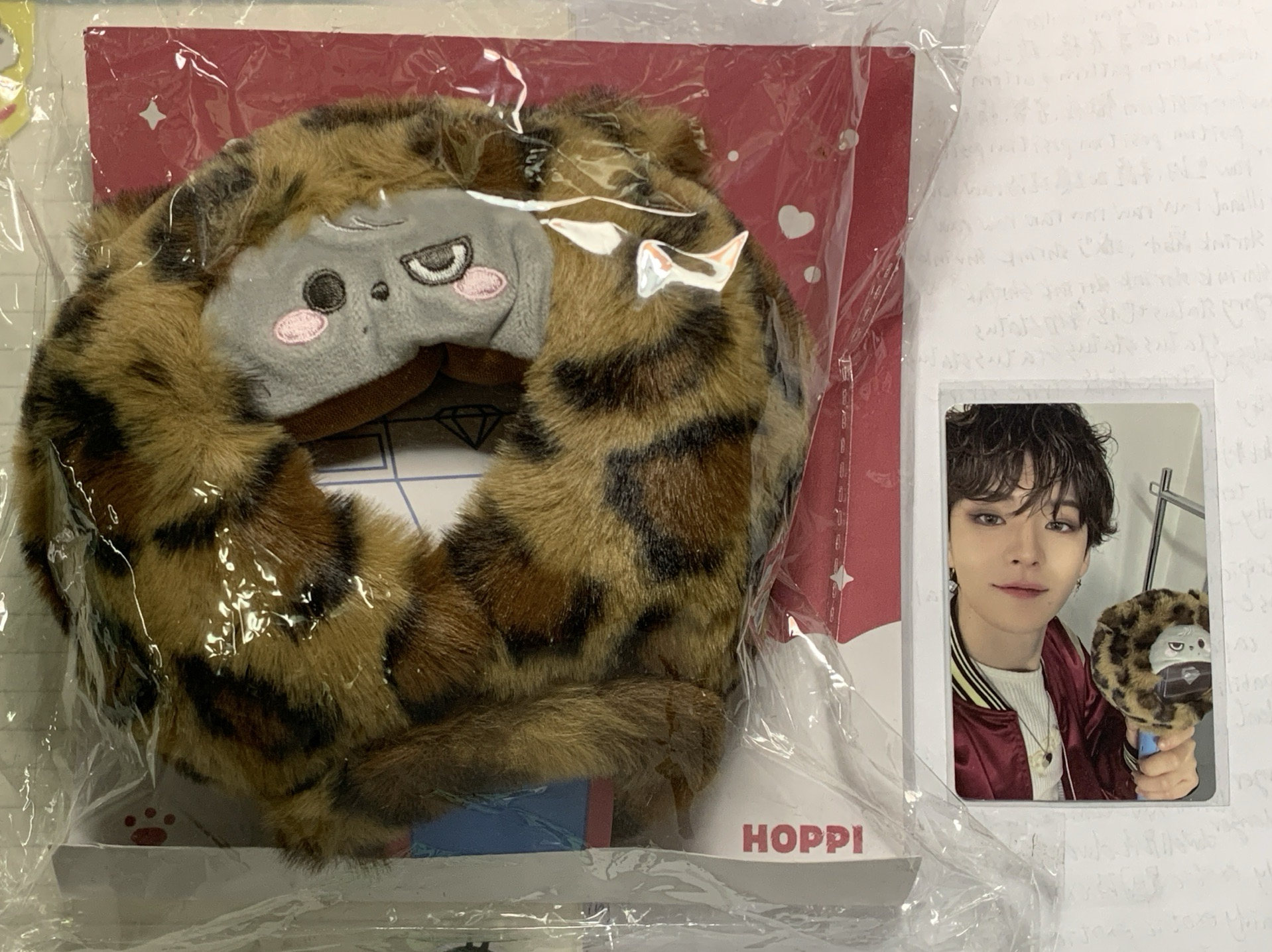 treasure Yoshi手燈套（含卡）