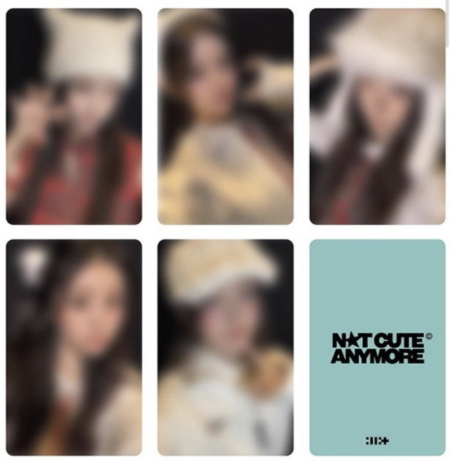 NOT CUTE ANYMORE 日咖 來日紀念