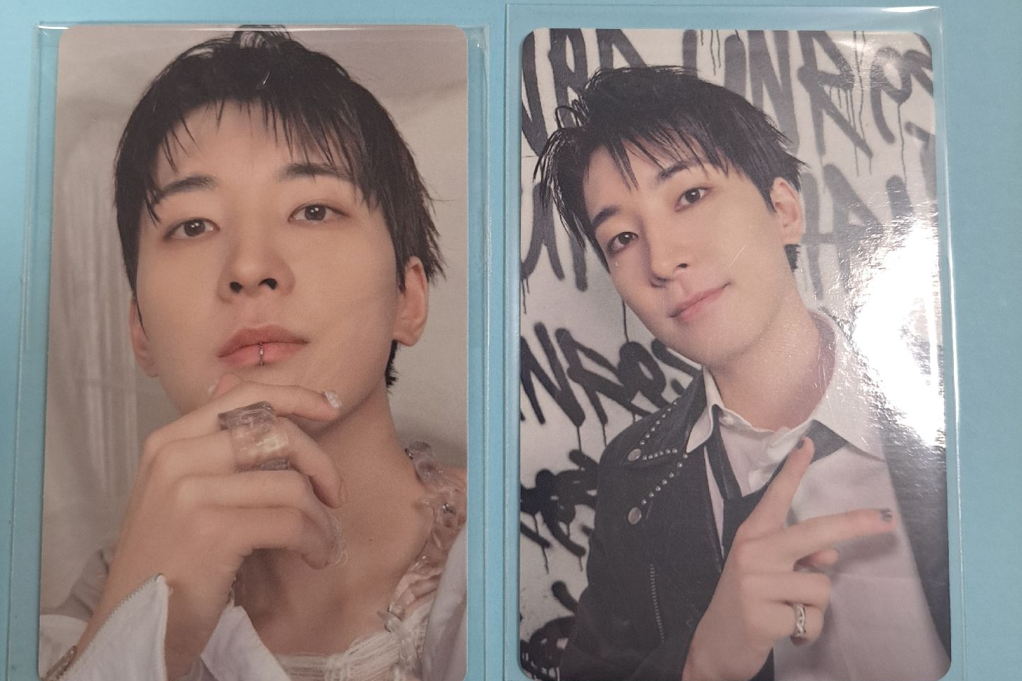 正規五wvs特典圓