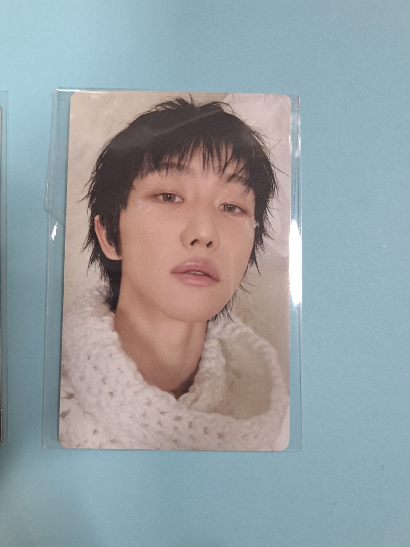 正規五wvs特典八