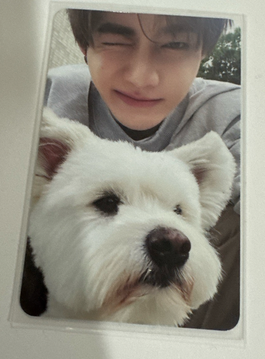 狗狗昊（需多帶賣場任一）