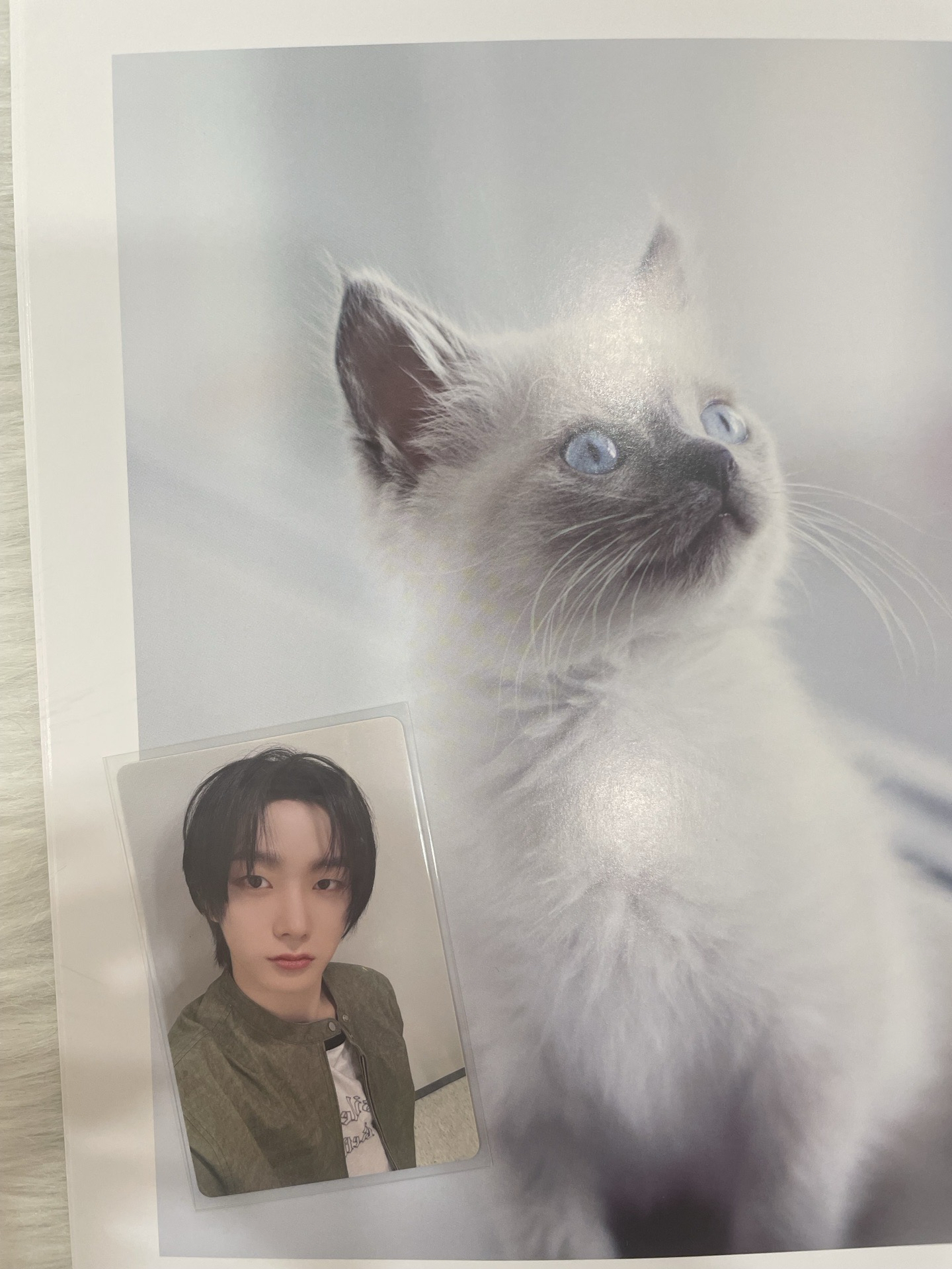 🍀【BND】🐈yzy簽售卡 中背