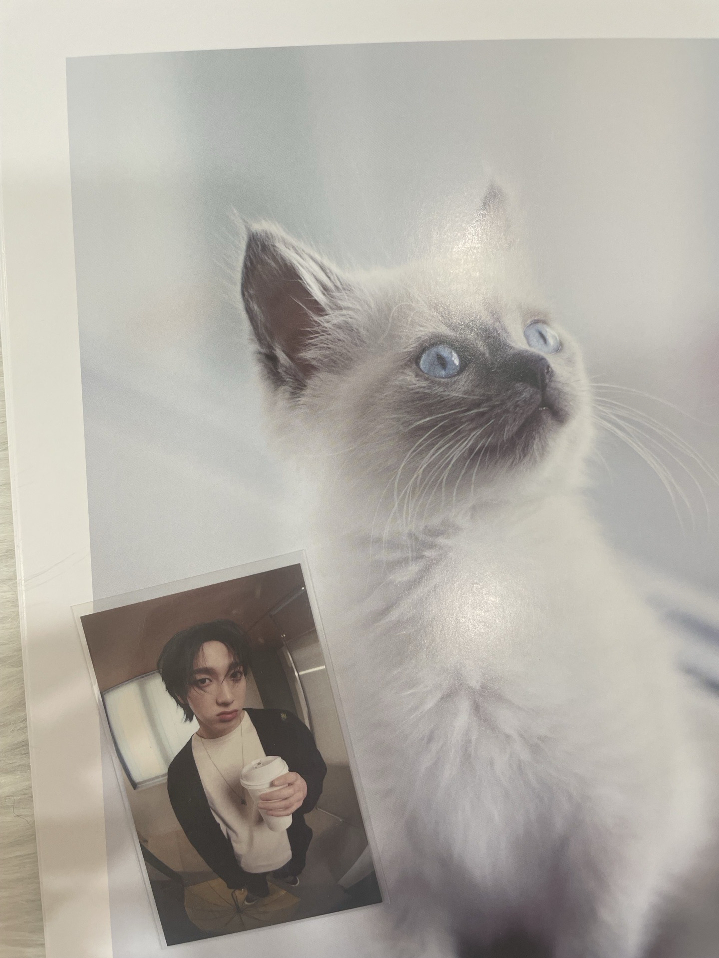 【BND】🐈who 環球特典卡