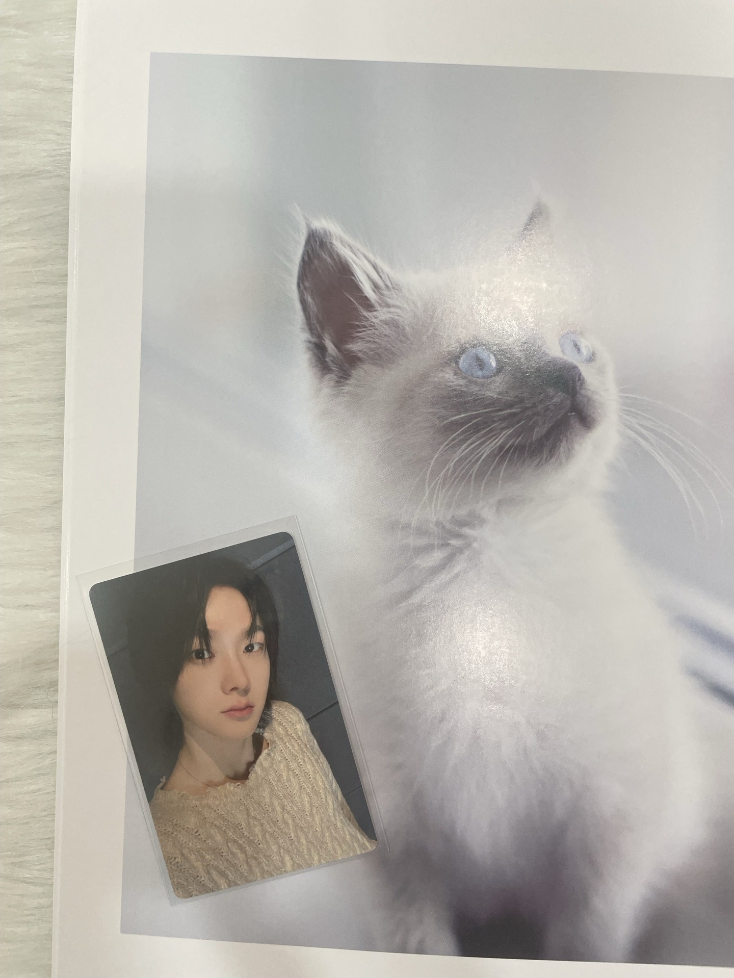 🍀【BND】🐈yzy簽售卡