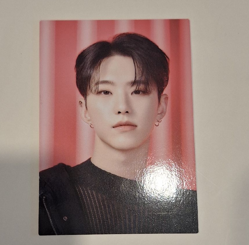 Follow  to japan隨機卡 hoshi