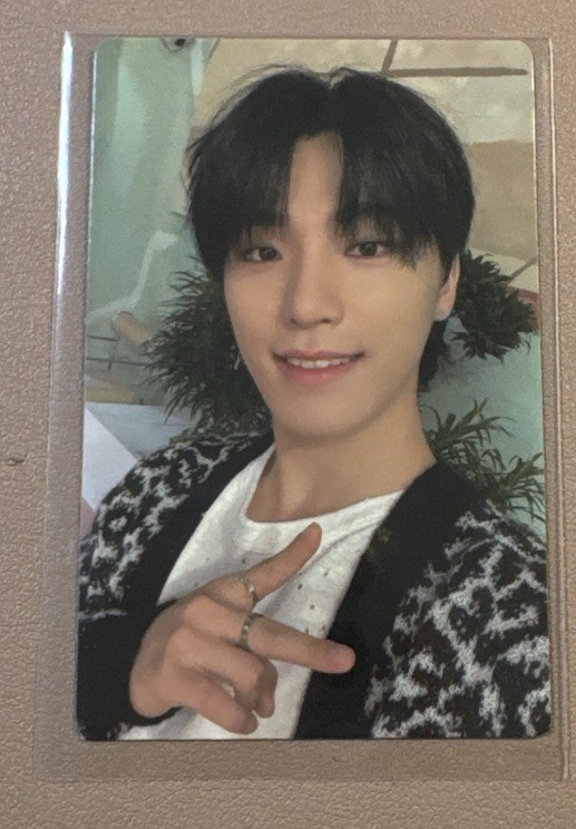 🩵Mini9燦專輯卡