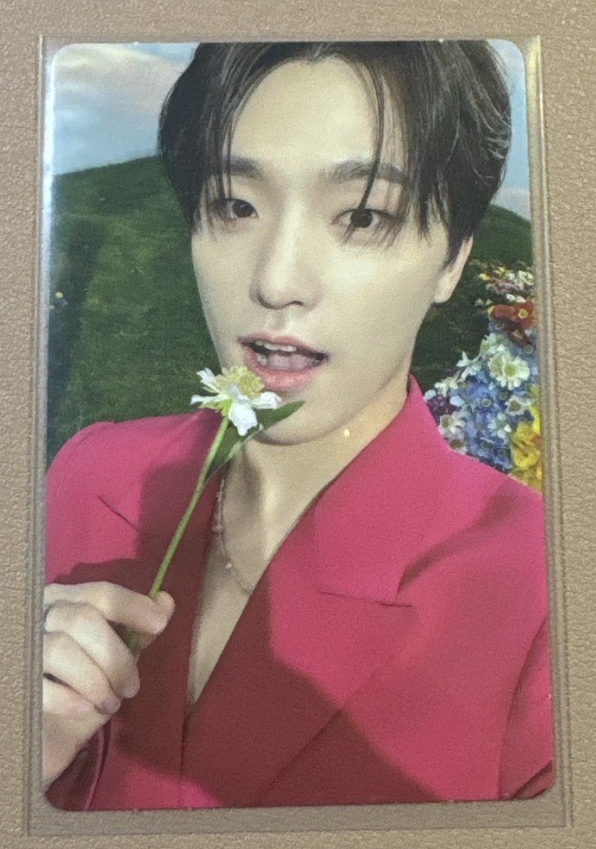 🩵正四後續燦專輯卡