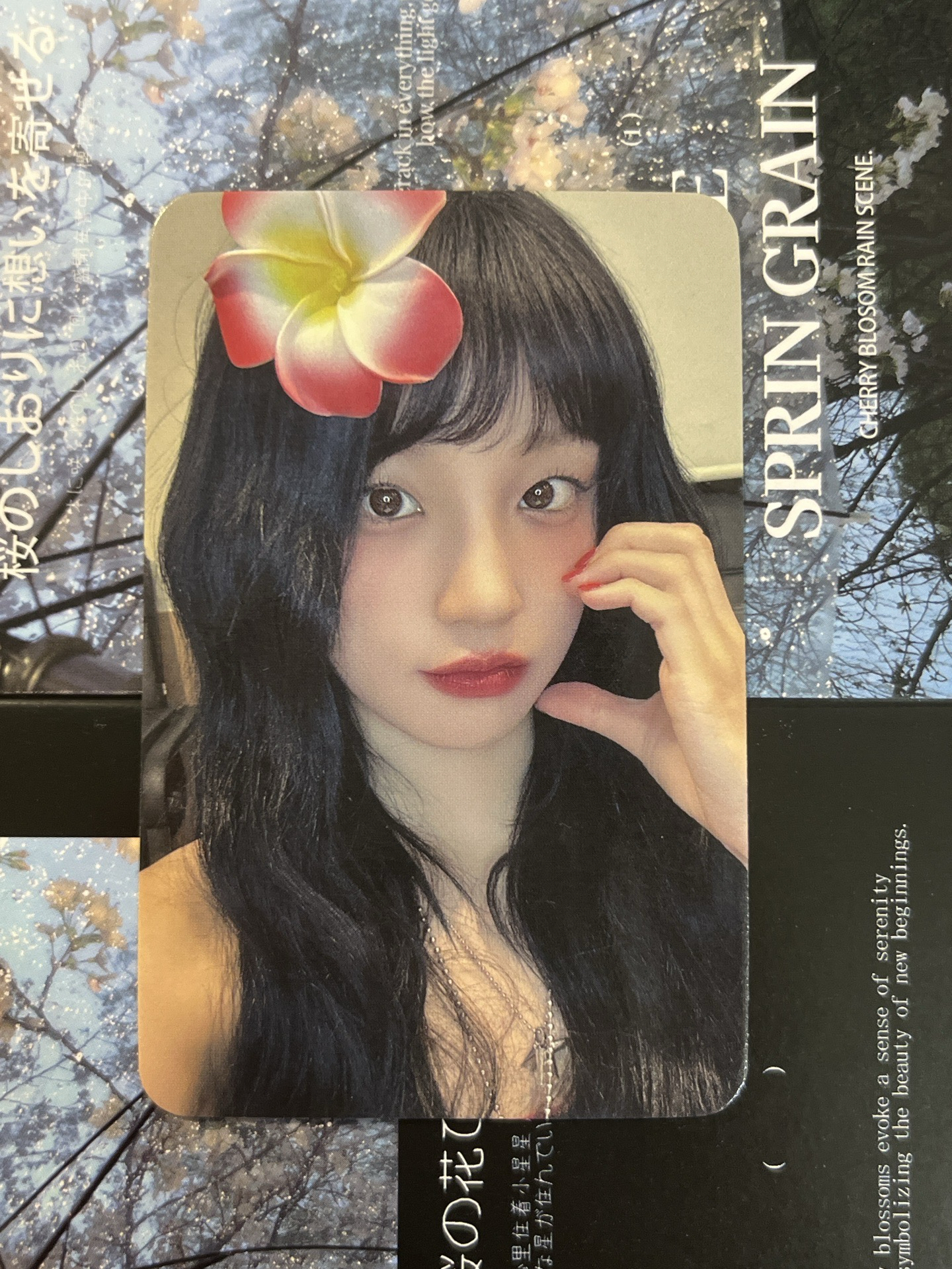 I SWAY 楠藝 2.0 夏威夷琦🌺