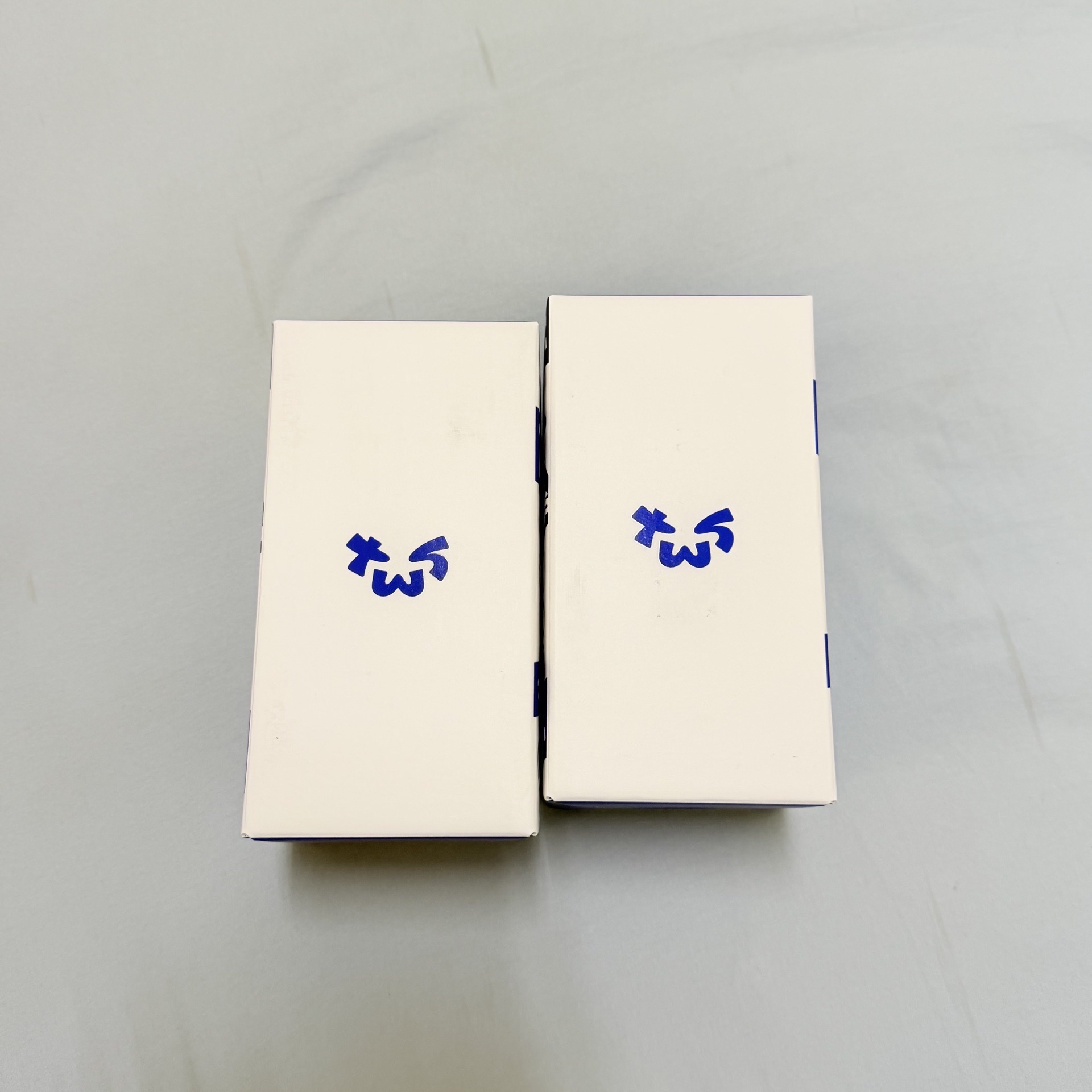 TWS 官方應援棒/手燈