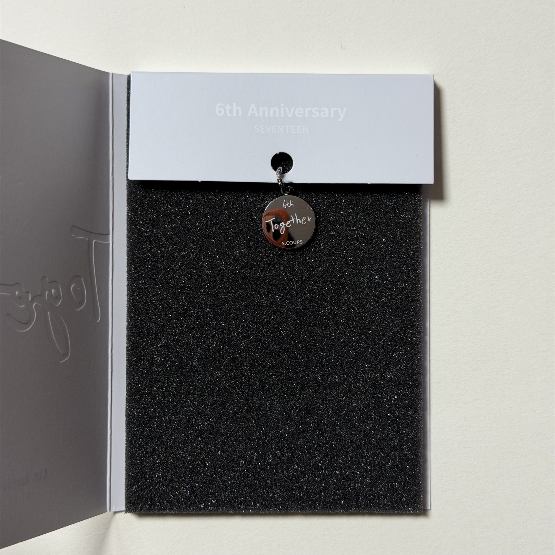 🦁S.COUPS 六週年 飾品配件 項鍊+吊墜 無小卡
