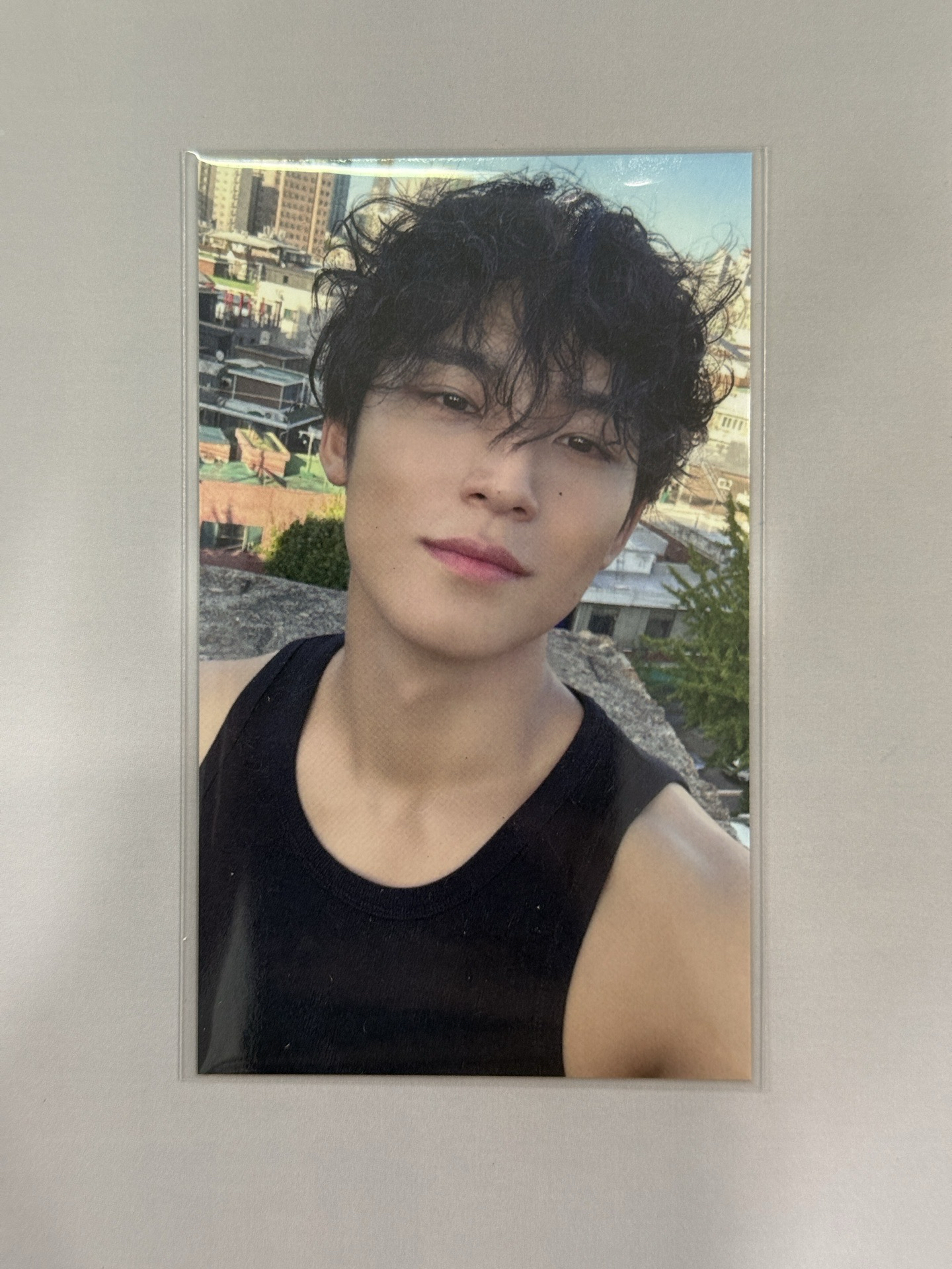 mini12 迷12 環球 東京場限 奎