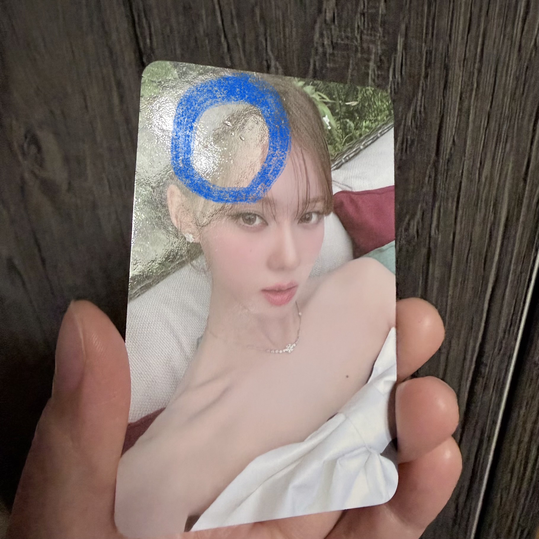 戛納冬+場週隨機卡冬