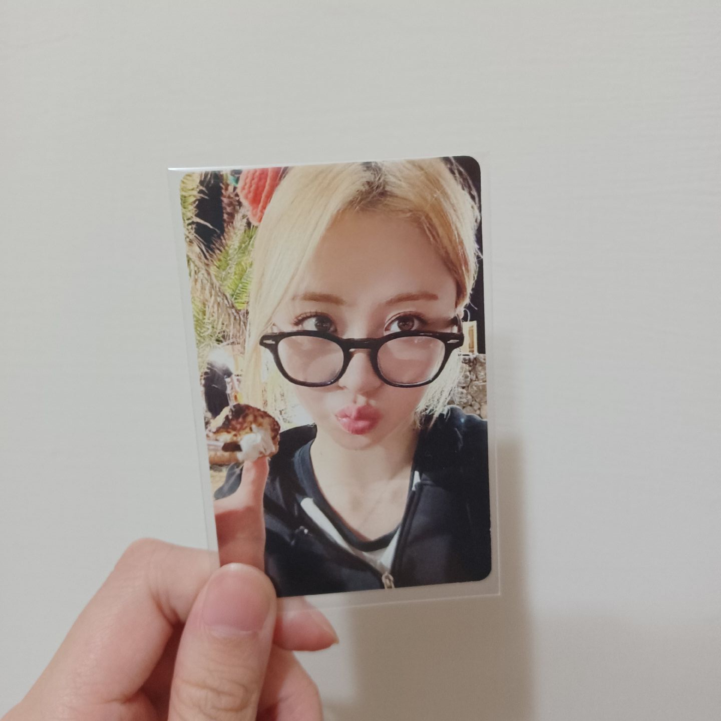 DAY OFF 濟州島 許允真 周邊卡 