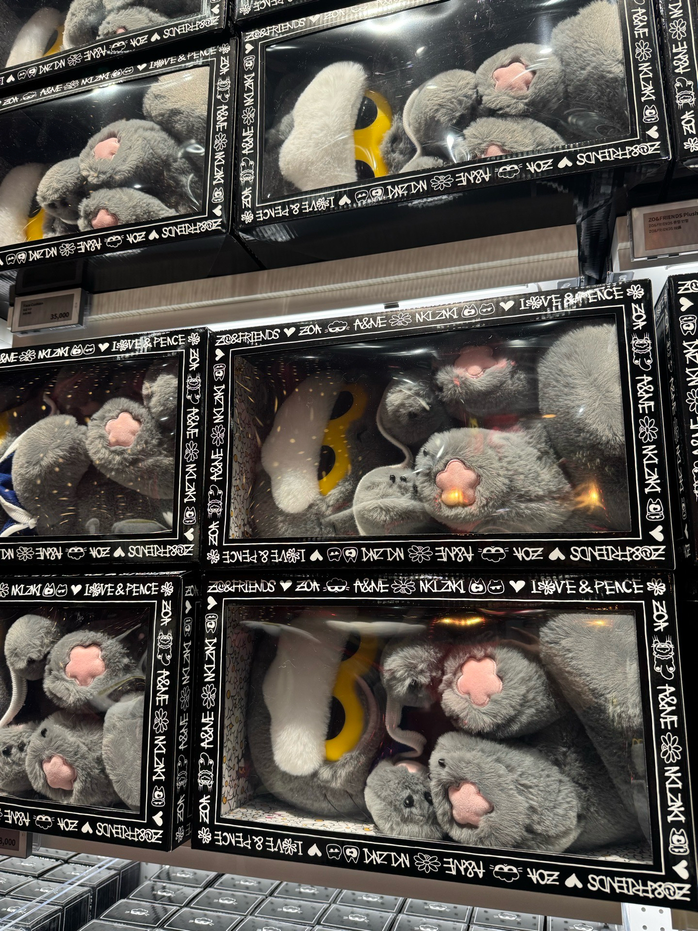 現貨 ZOAful Winter 中娃