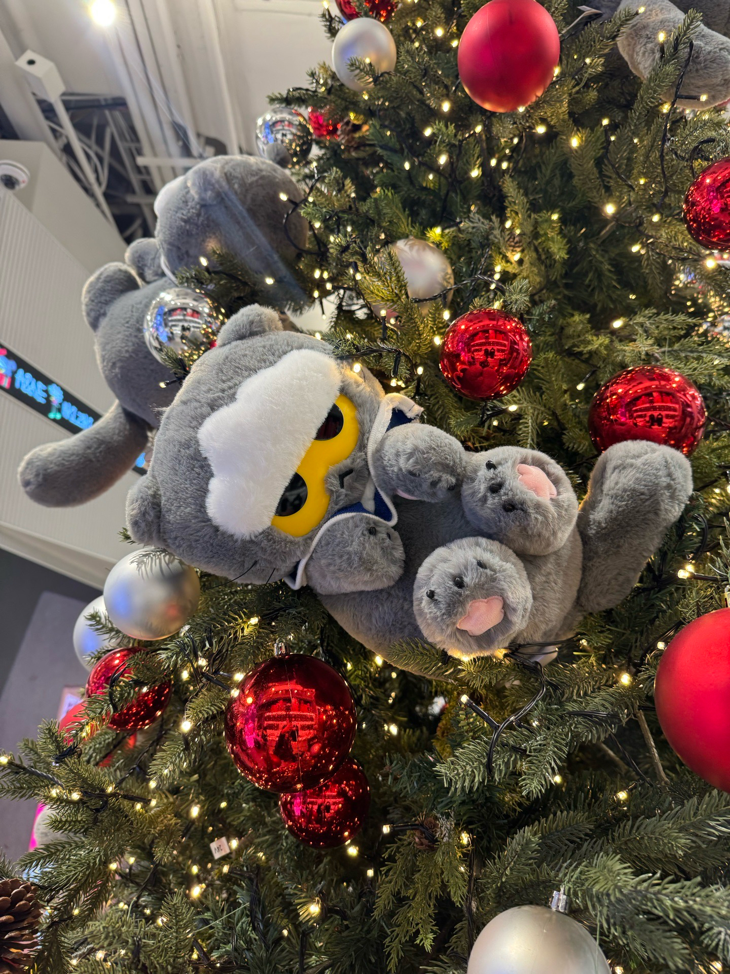 在韓現貨 ZOAful Winter 中娃