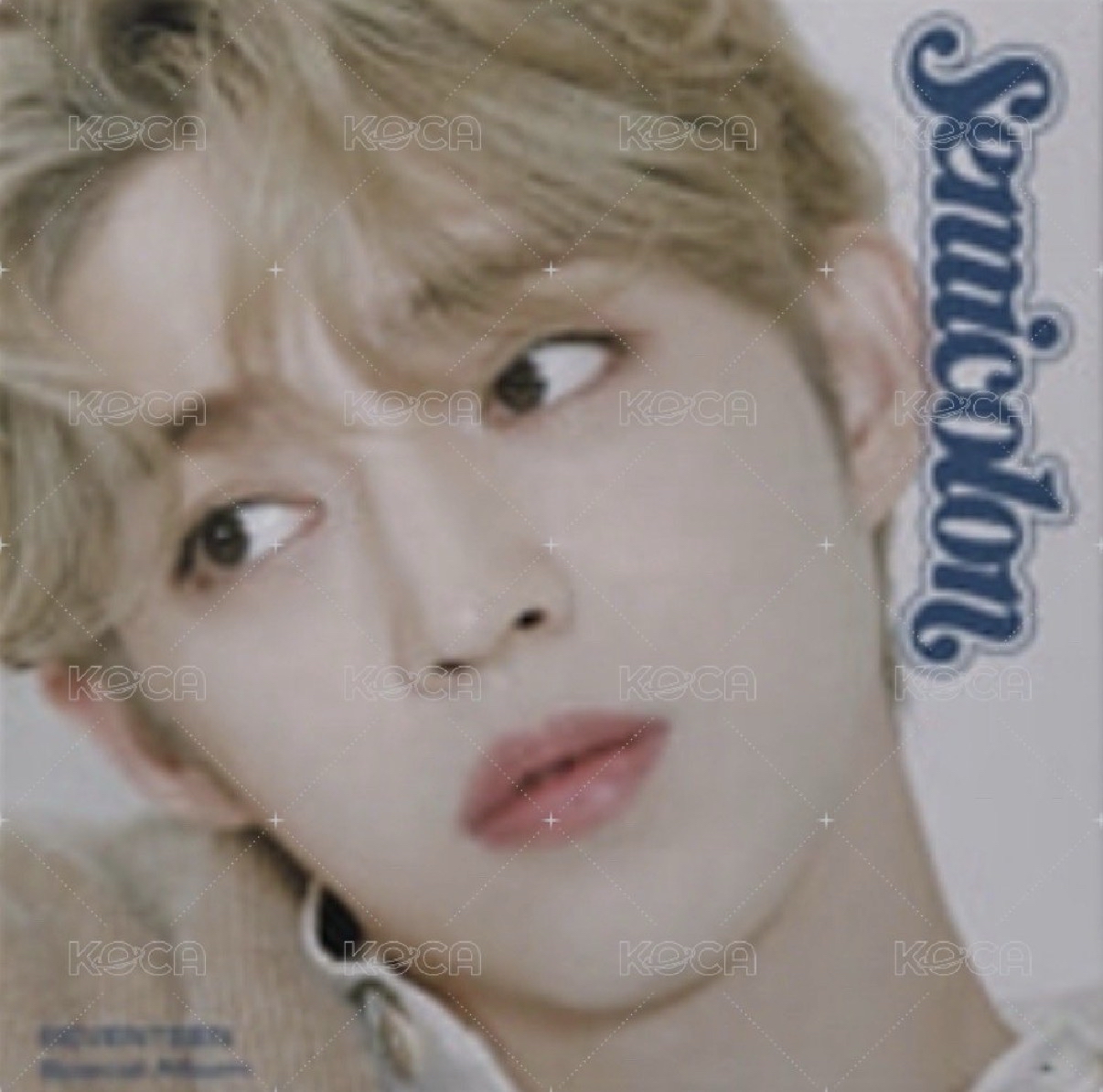 特二哲全專/含編織組+特二洋娃娃 小盤