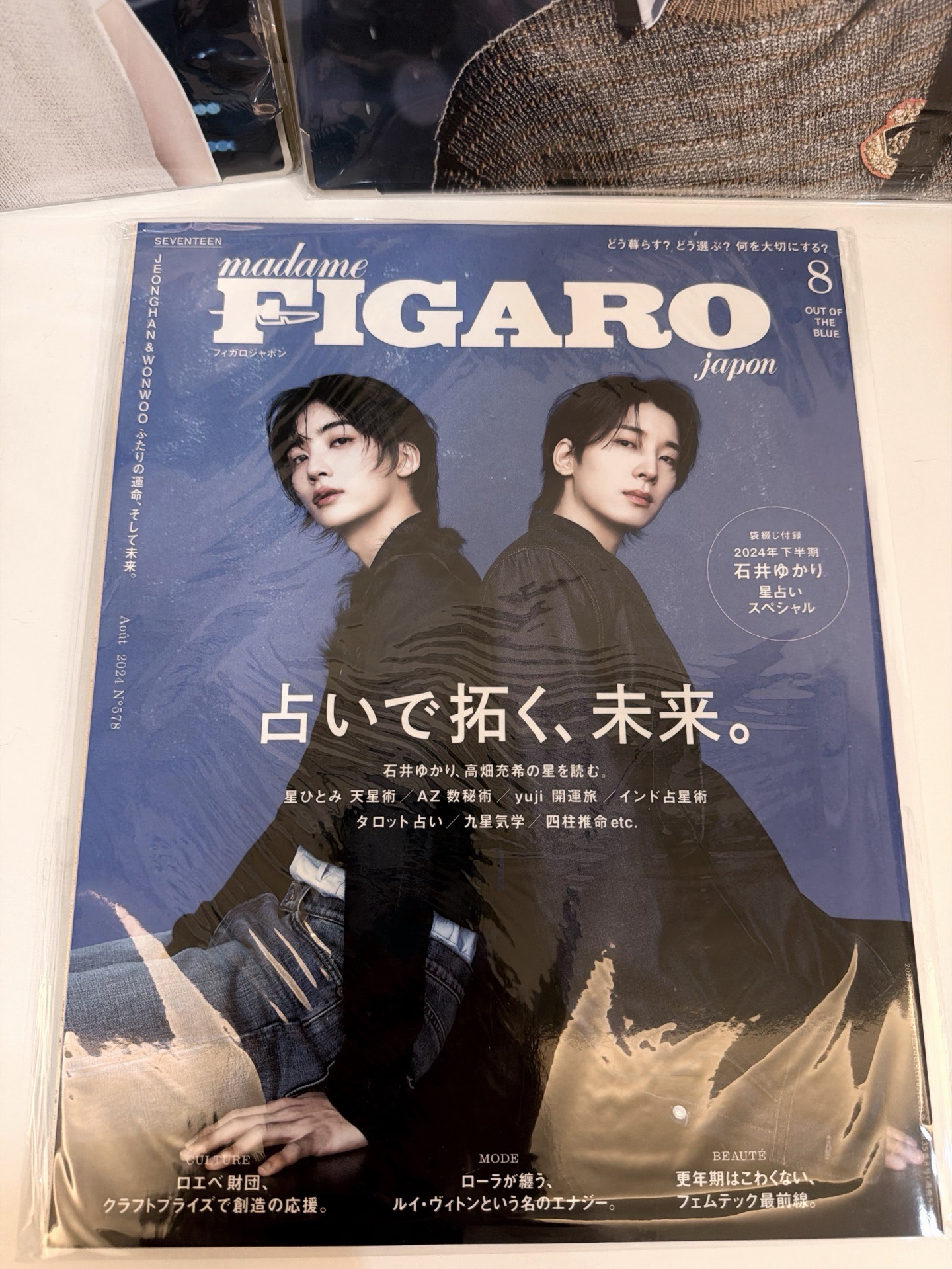  圓漢 figaro japan雜誌