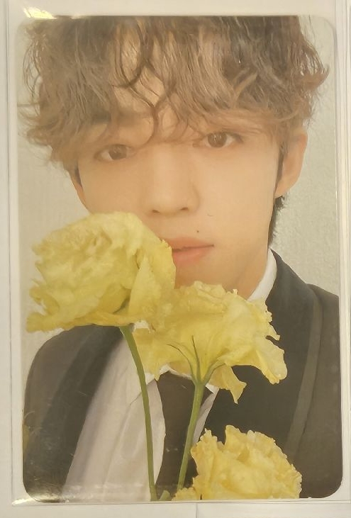 黃色花花 哲/喆