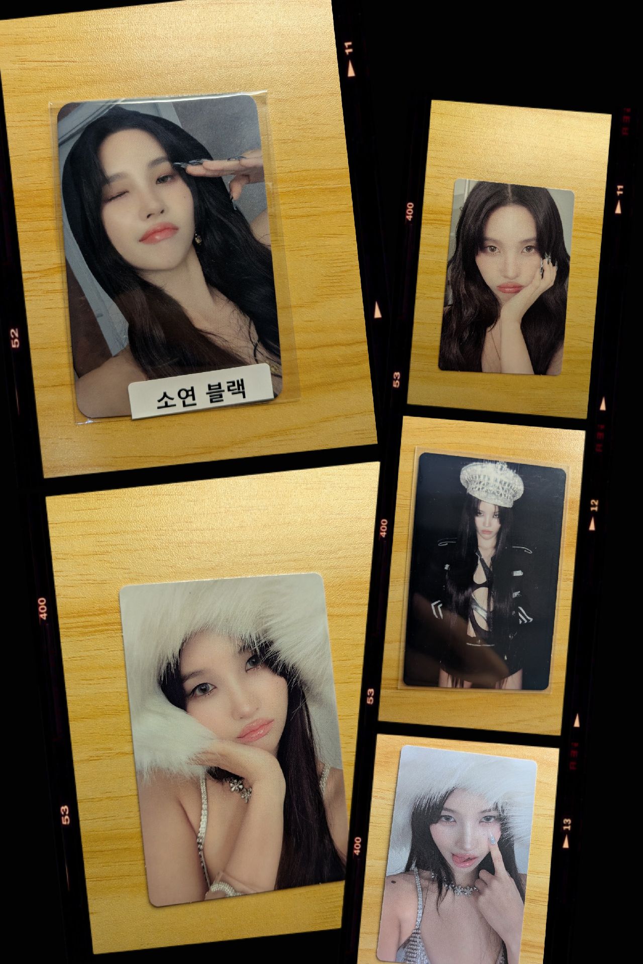 🐹 正二造型小盤 共5張 | 韓背(附翻譯) 未掃QR卡 