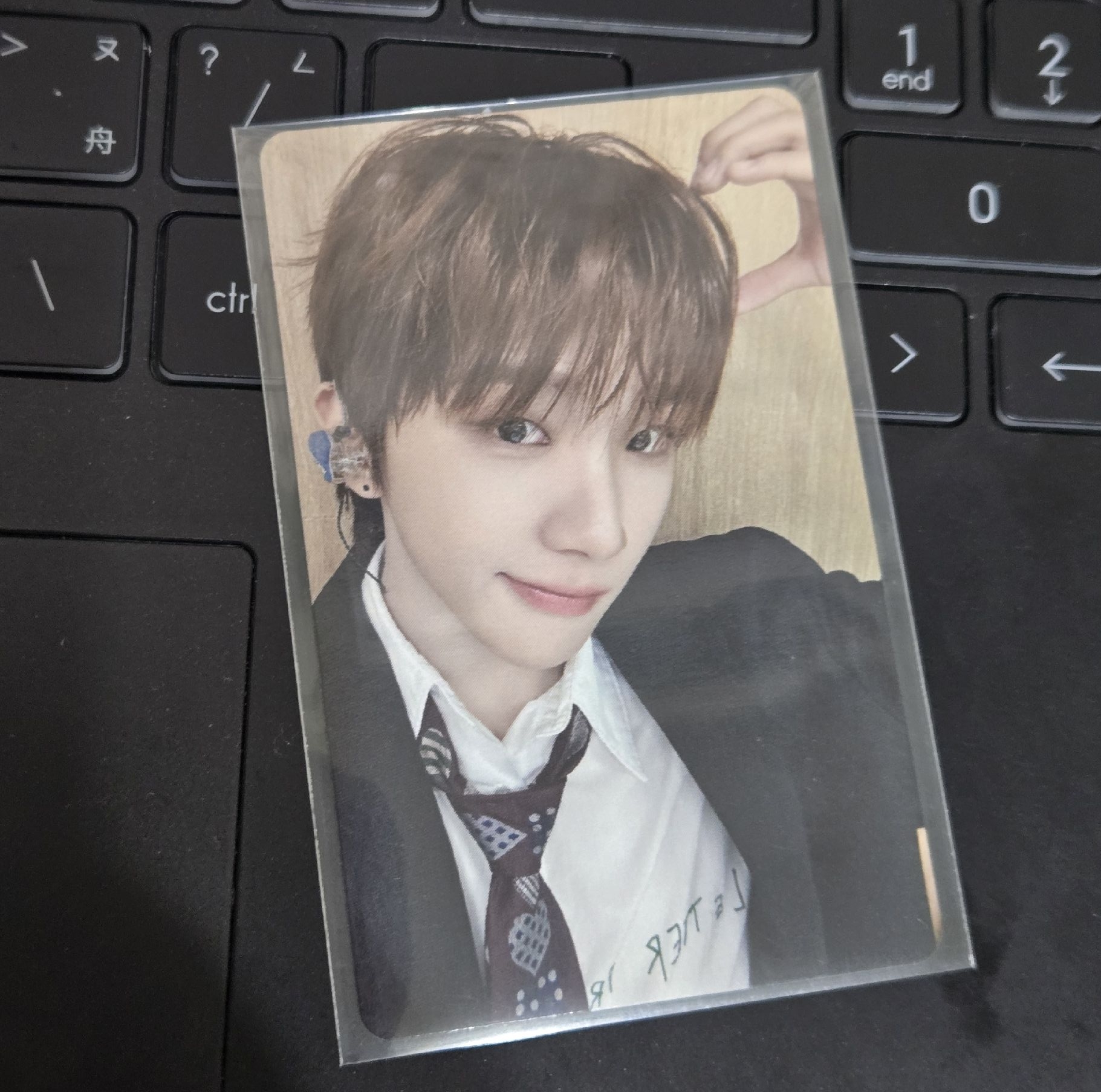 wvs末簽小熊雲鶴 