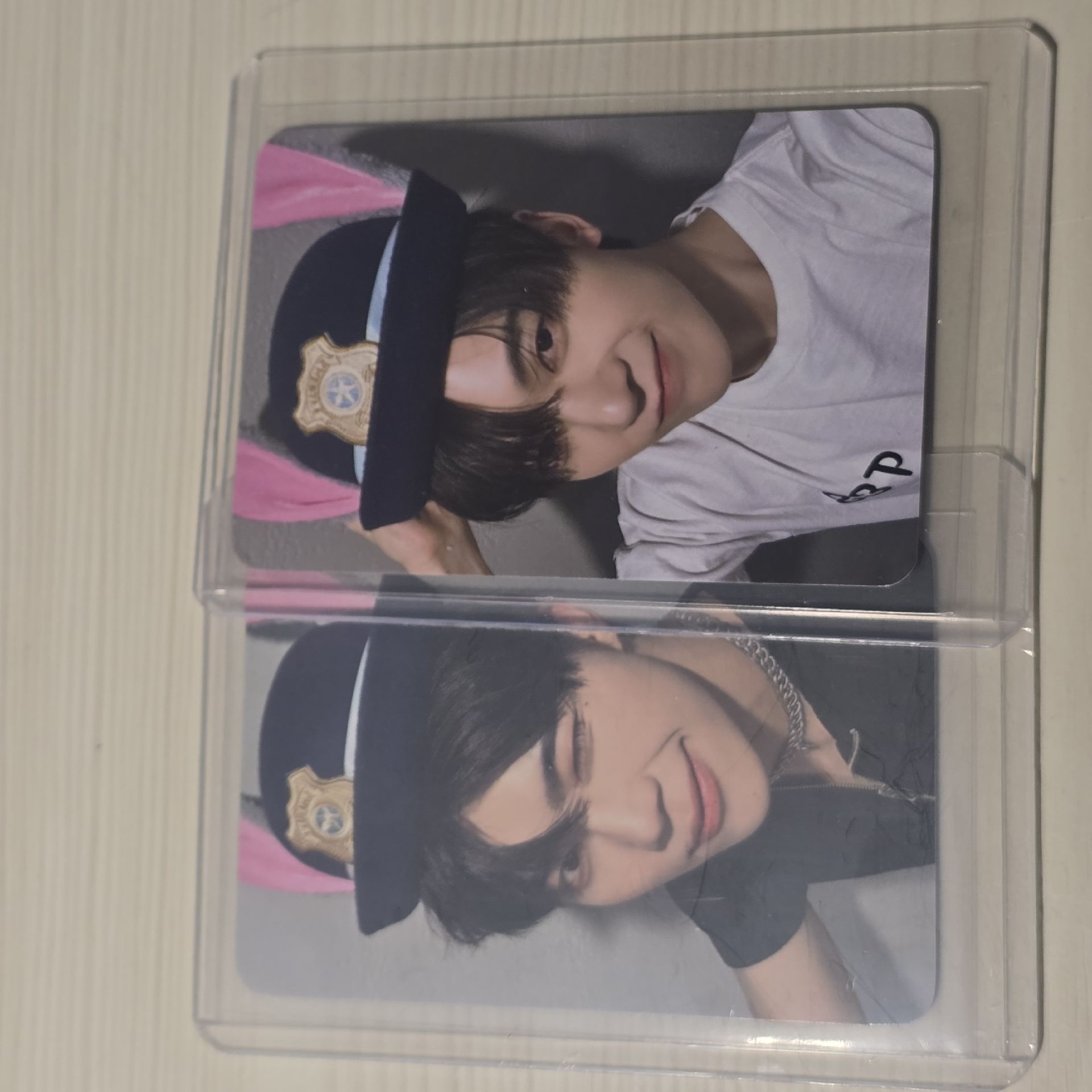 ZB1 正規一wm簽售 動物方城市