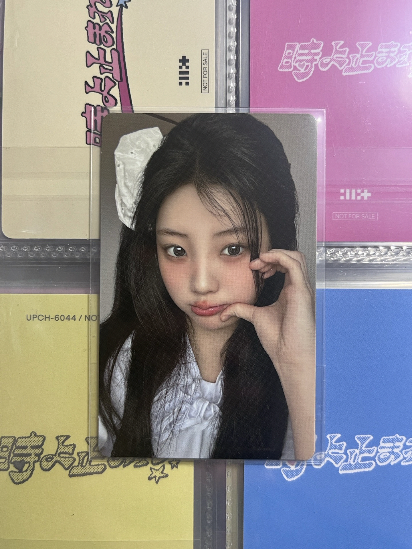 日專 七網預售禧